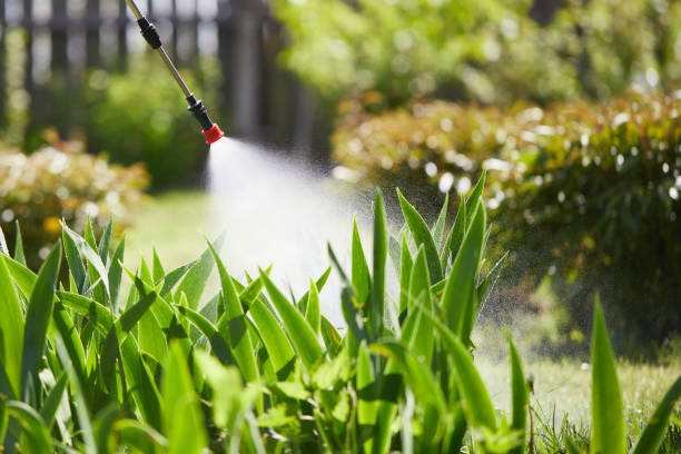 24/7 Emergency Ant Control experts in University, MS