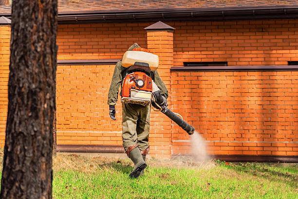 Top rated local Ant Control specialists in University, MS